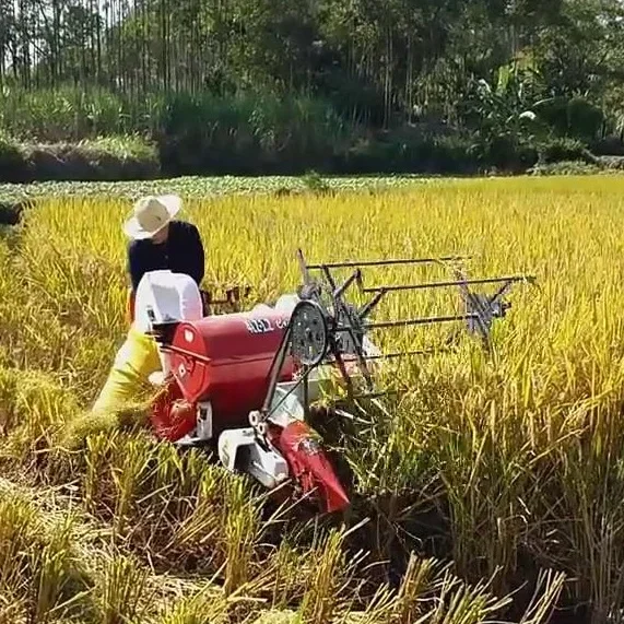 Combine Harvester Mini - ماكينة حصاد أرز القمح الجديدة الأوتوماتيكية