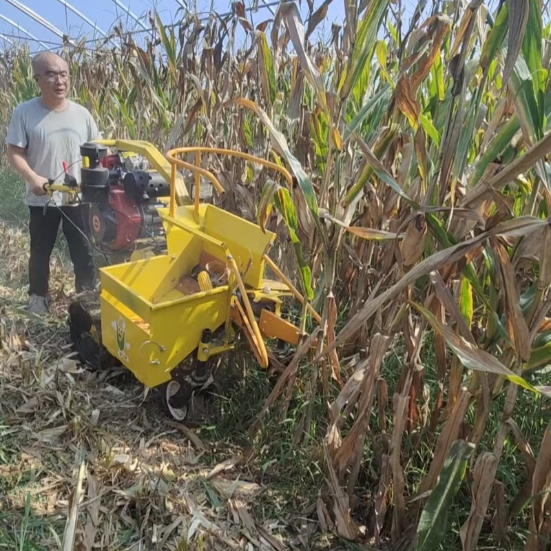 Combine Harvester Mini - حصادة ذرة صغيرة منخفضة التكلفة للبيع،