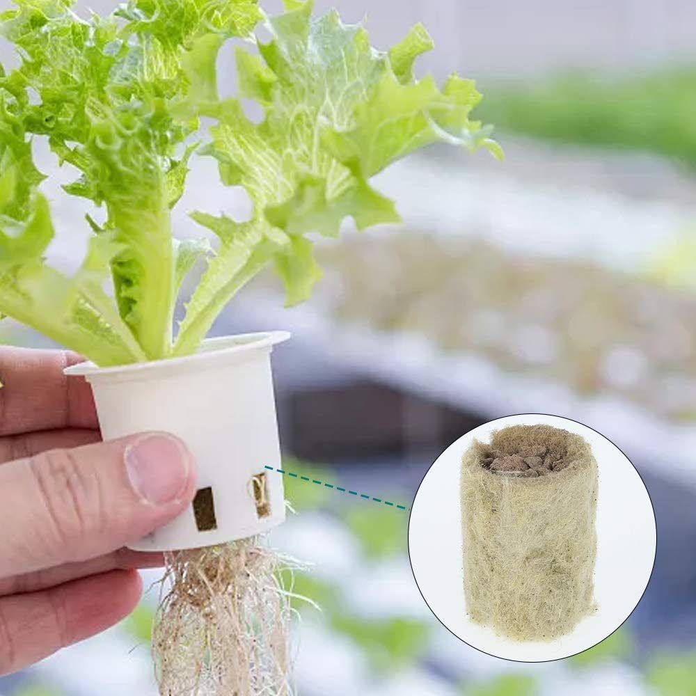 50 قطعة من كتل الزراعة المائية - مراجعة Nursery Plug Tray وسعره