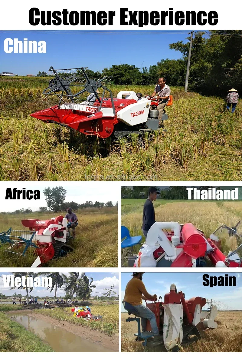 ماكينة حصاد أرز القمح الجديدة  - مراجعة Combine Harvester Mini وسعره