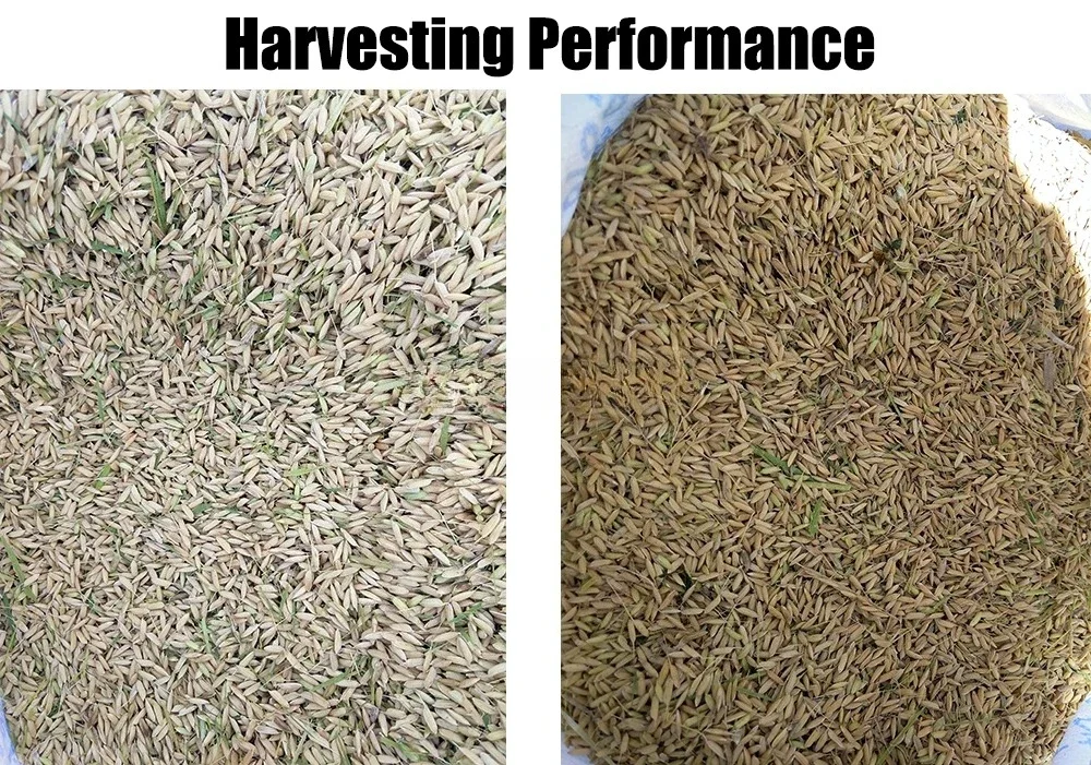 ماكينة حصاد أرز القمح الجديدة  - مراجعة Combine Harvester Mini وسعره