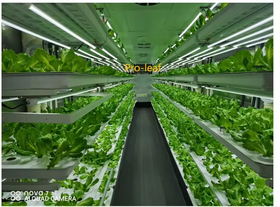 f المعدات الزراعية الدفيئة تنم - مراجعة Agriculture Farming System وسعره