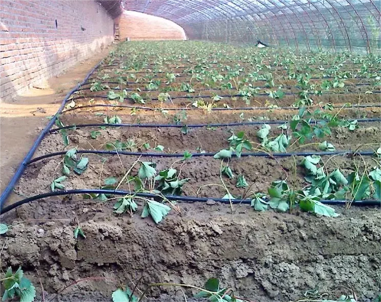 طقم ري 1HA، أداة زراعية، شريط  - مراجعة Agriculture Farming Hand Tools وسعره