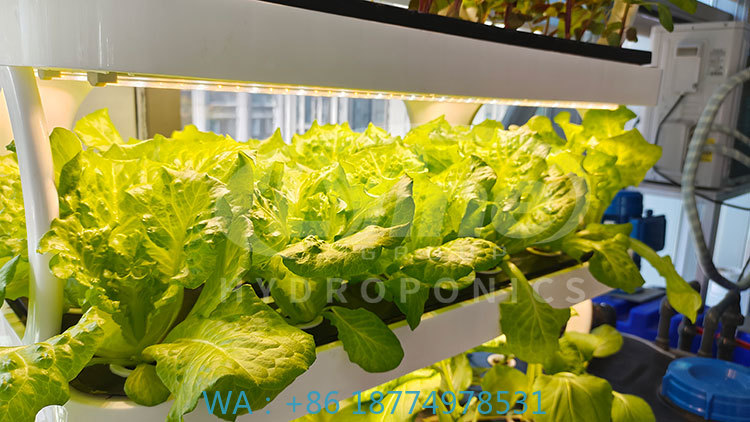 ج آلة الزراعة لزراعة الخضار ال - مراجعة Agriculture Farming System وسعره