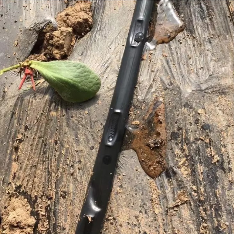 سعر المصنع: 1 تصميم نظام الري  - مراجعة Farm Agriculture وسعره