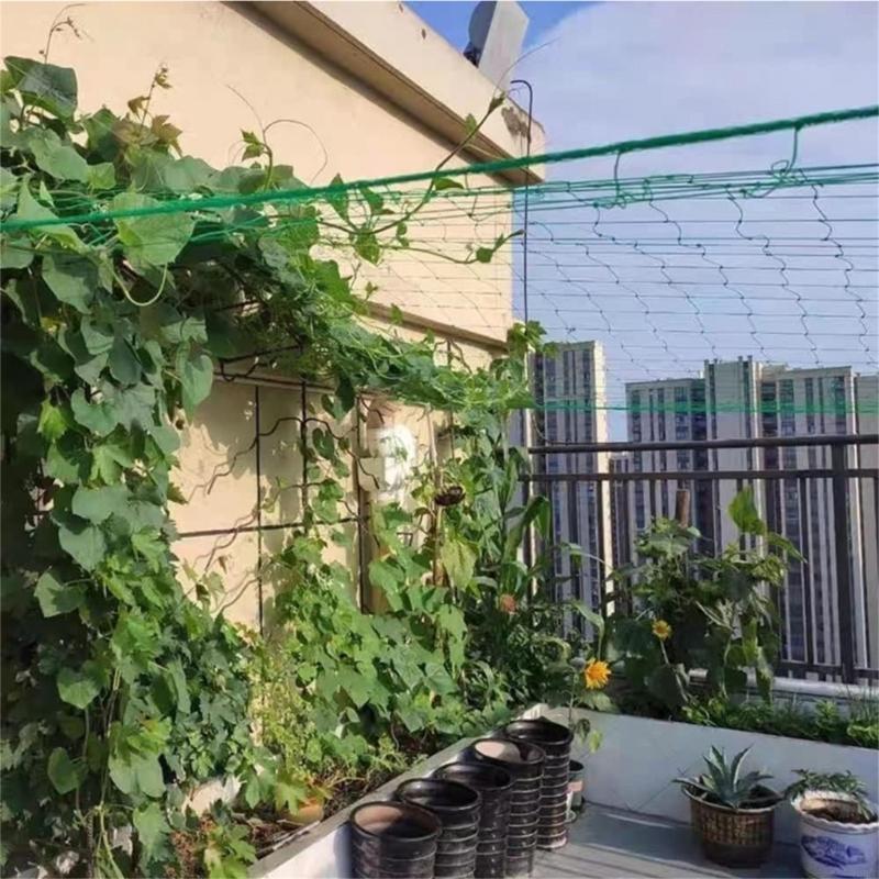 شبكة تعريشة نباتية 62KD لتسلق  - مراجعة Agriculture Farming Net وسعره