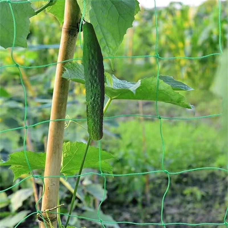 شبكة تعريشة نباتية 62KD لتسلق  - مراجعة Agriculture Farming Net وسعره